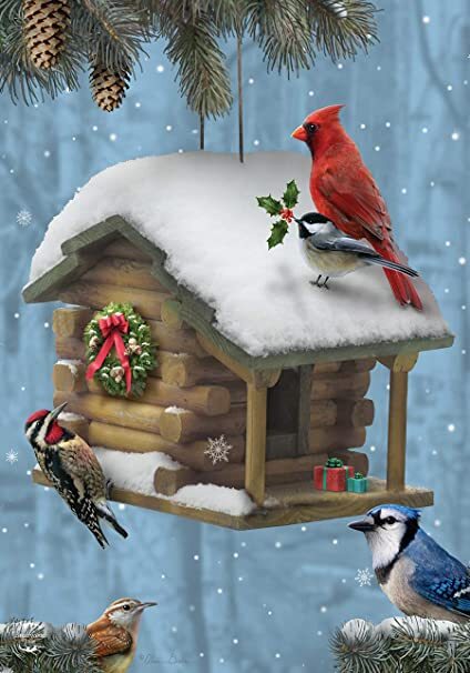 Festive Feathered Friends - House Flag - 28" x 40" - Briarwood Lane