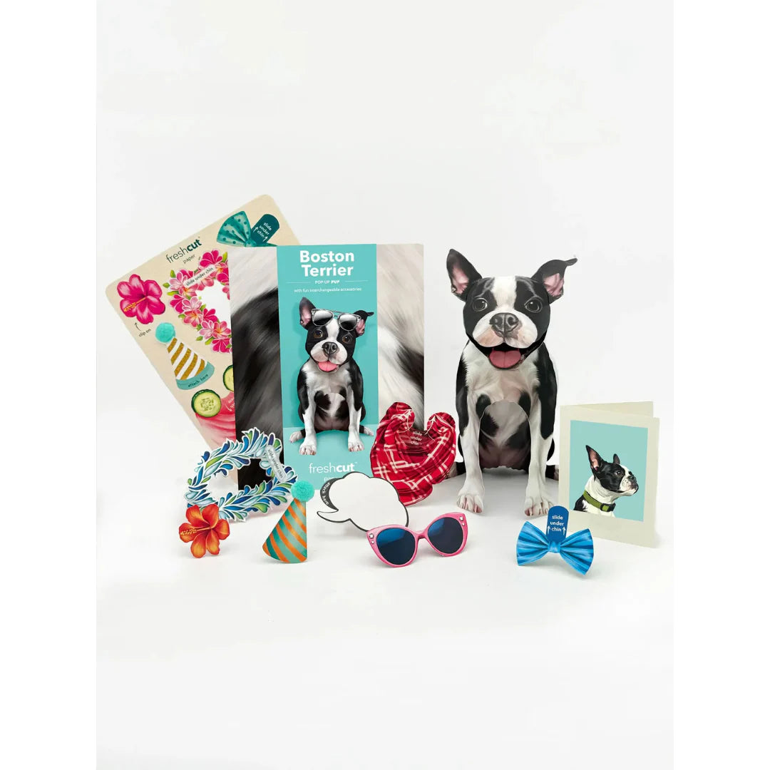 Pop up Pup Card - Boston Terrier - Fresh Cut