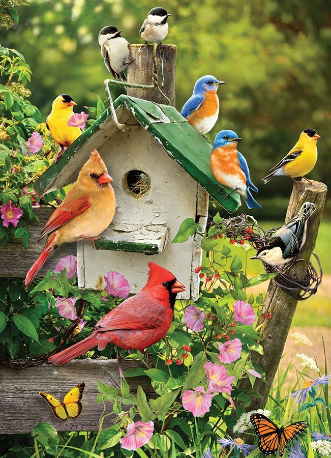 Summer Birdhouse - 500 Piece Cobble Hill Puzzle