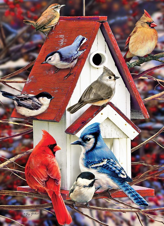 Winter Birdhouse - 500 Piece Cobble Hill Puzzle