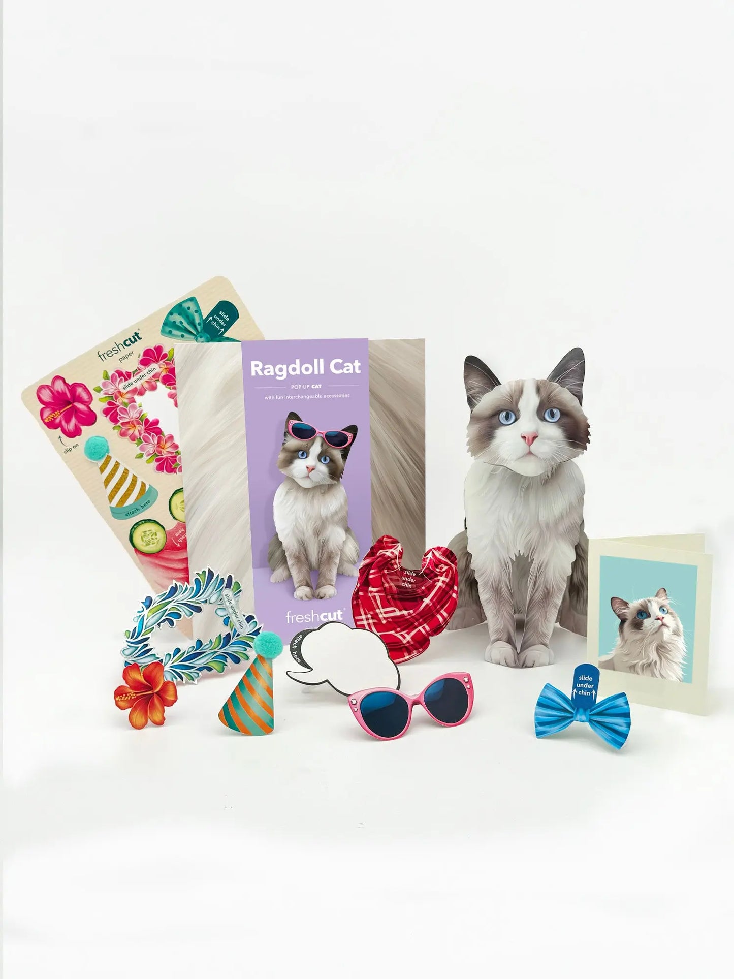 Pop up Cat Card - Ragdoll - Fresh Cut