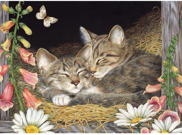 Tray Puzzle - Morning Snooze - 35 pieces - Cobble Hill