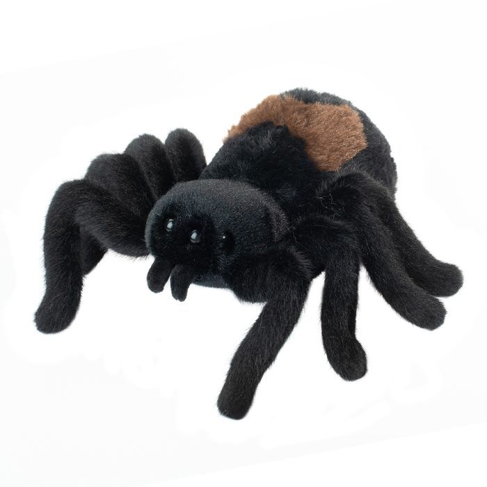 Sneakie Spider - Soft - Douglas Plush