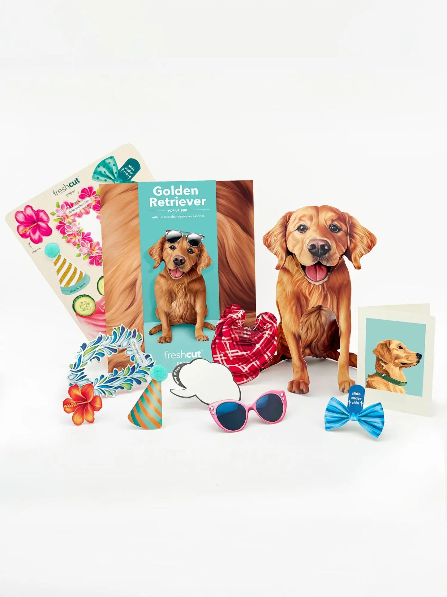 Pop up Pup Card - Golden Retriever - Fresh Cut