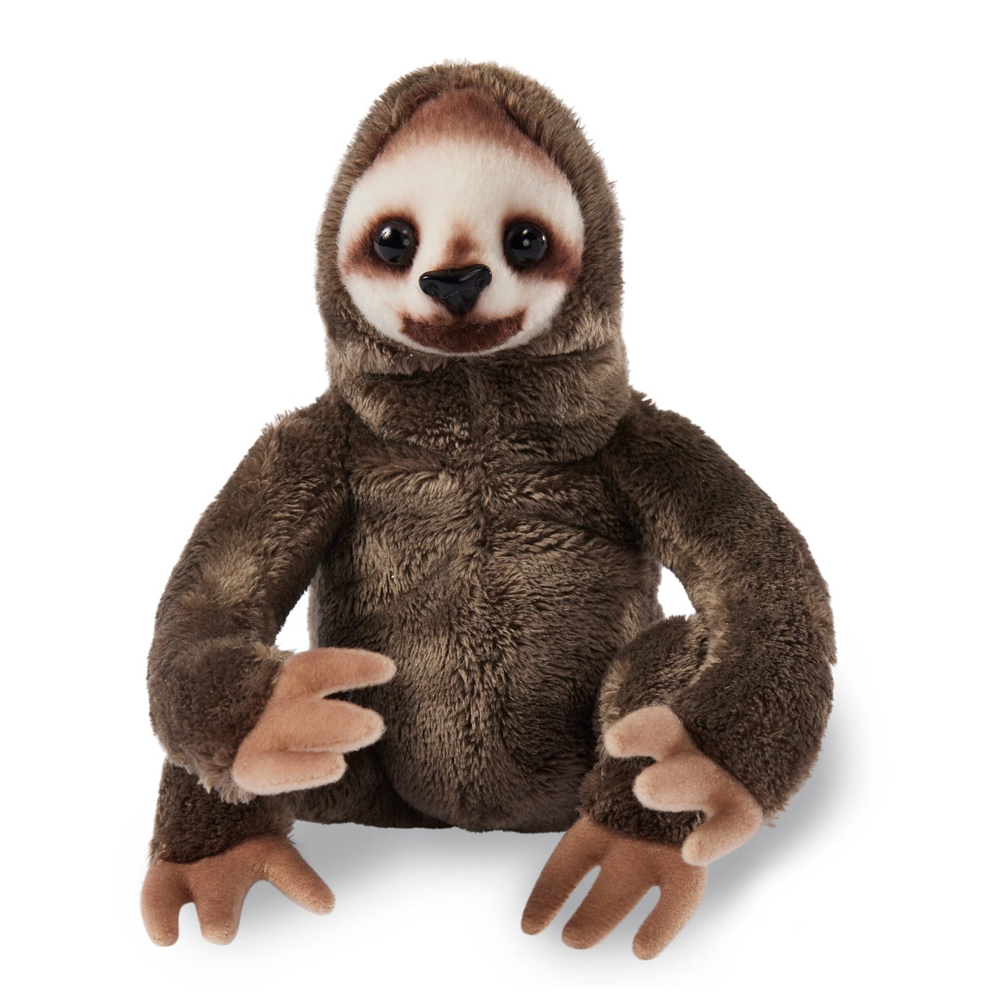 Sandy - Wildlife Sloth - Giffa
