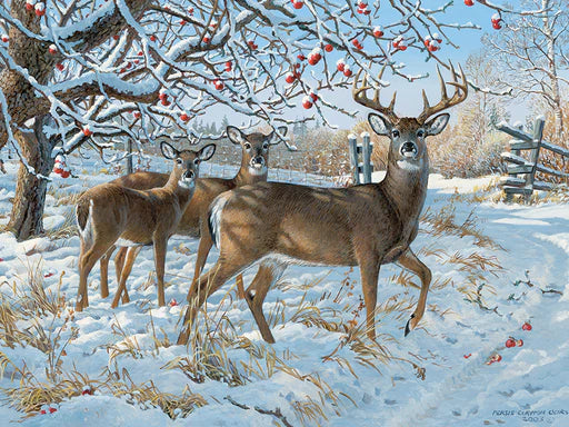 Winter Deer - 500 Piece Cobble Hill Puzzle