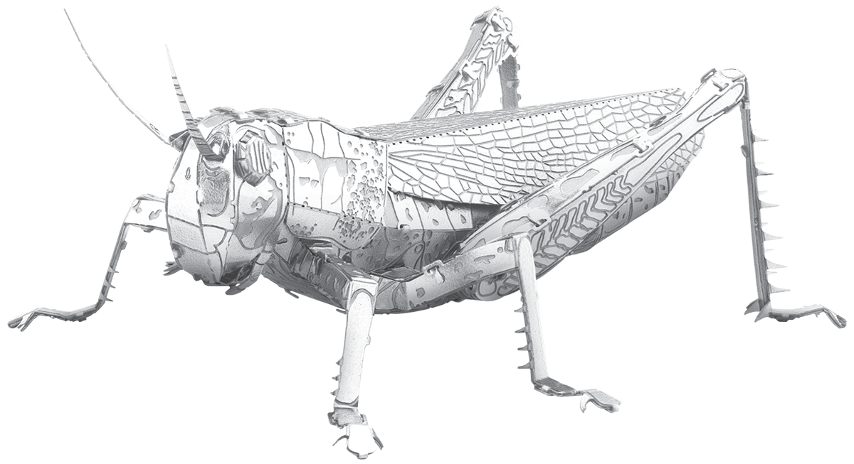 Metal Earth - Grasshopper - Steel Model Kit - 1 Sheet Model