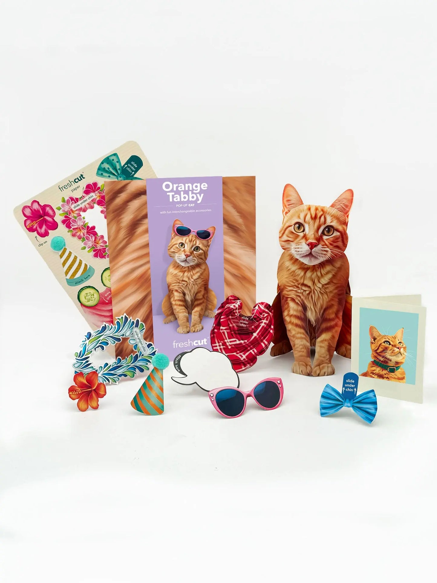 Pop up Cat Card - Orange Tabby - Fresh Cut