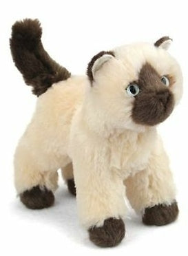 Mitzy - Himalayan Cat - 12 inch - Douglas Plush