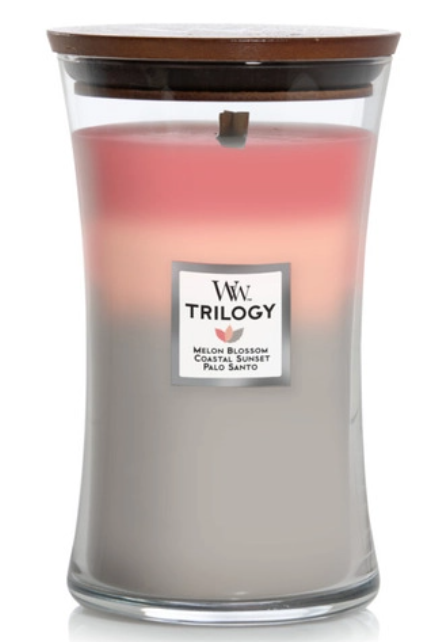 Shoreline - Large Trilogy - WoodWick Candle
