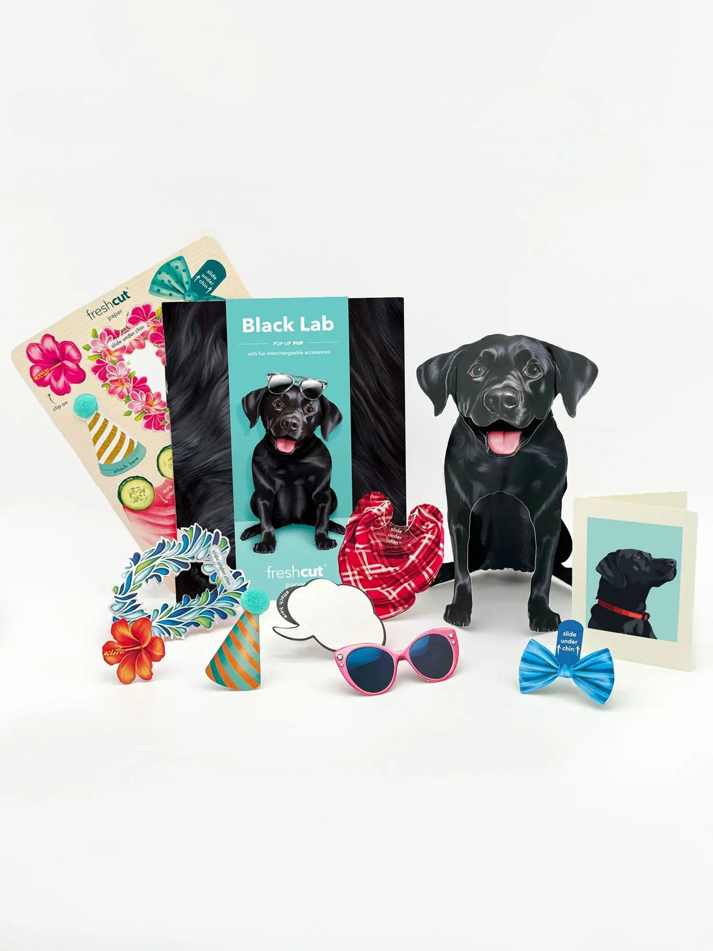 Pop up Pup Card - Black Lab - Fresh Cut