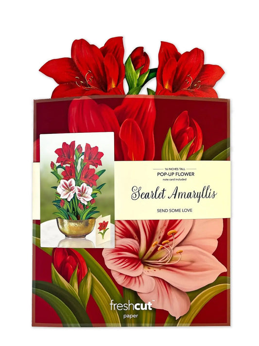 Flower Bouquet Popup Card - Scarlet Amaryllis - Fresh Cut