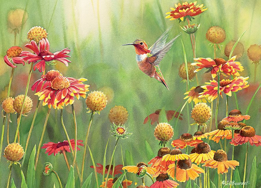 Rufous Hummingbird - 500 Piece Cobble Hill Puzzle