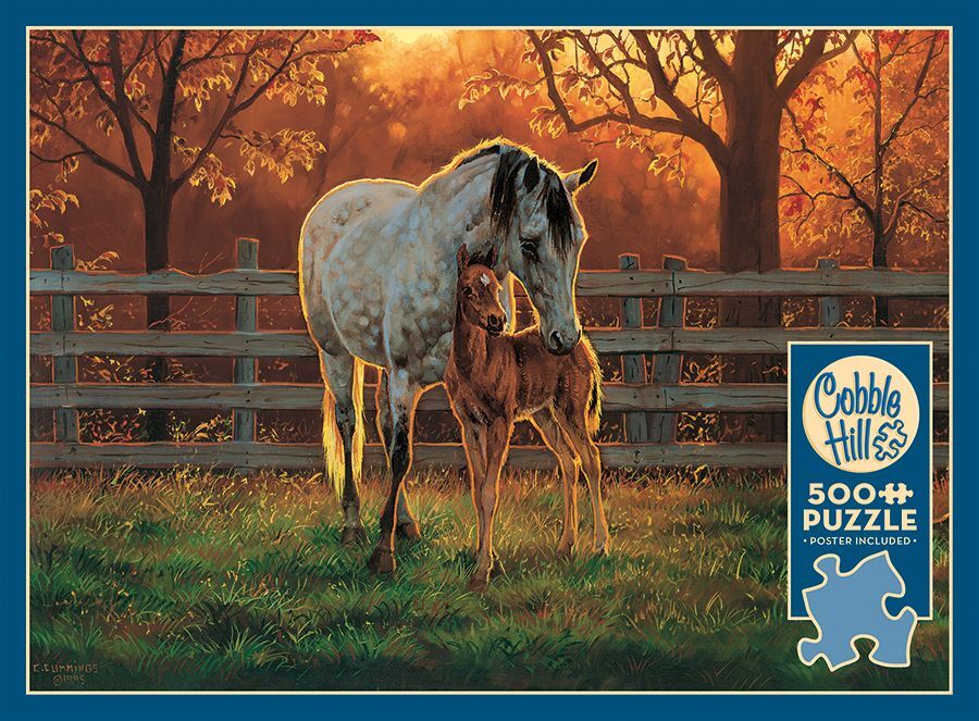 Quiet Time - 500 Piece Cobble Hill Puzzle