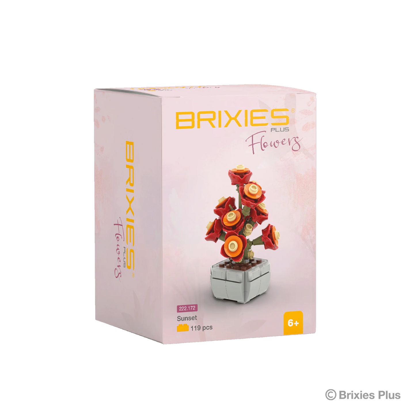 Brixies Plus Flowers - Sunset - LEGO Brand Compatable