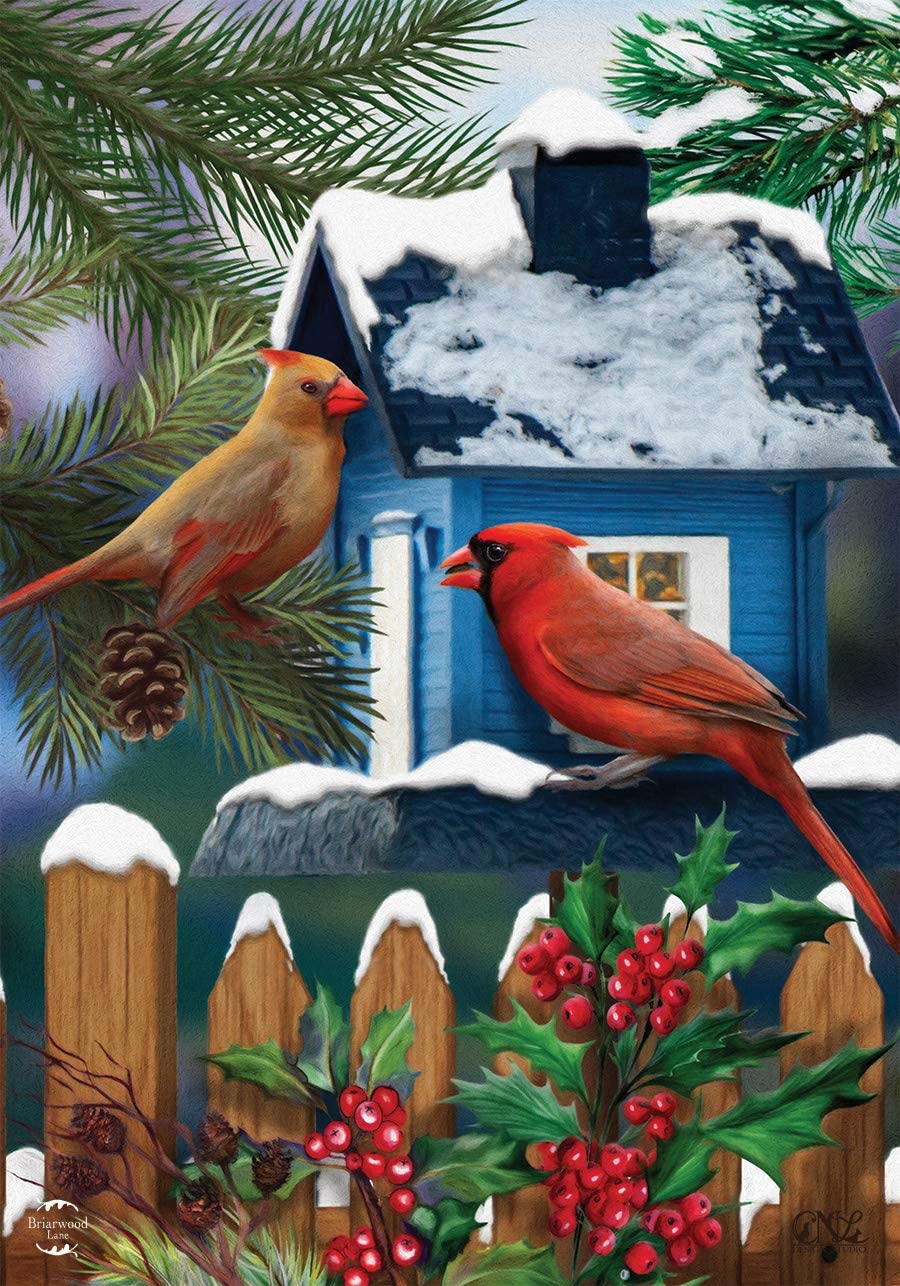 Snow Day Cardinals - Garden Flag - 12.5 " x 18" - Briarwood Lane