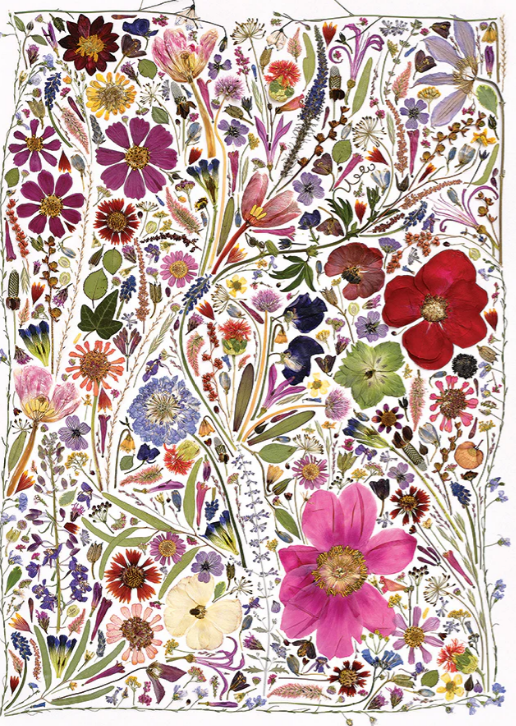 Flower Press: Spring - 1000 Piece Cobble Hill Puzzle