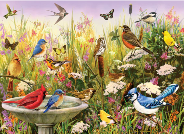 Feathered Friends - 1000 Piece Cobble Hill Puzzle