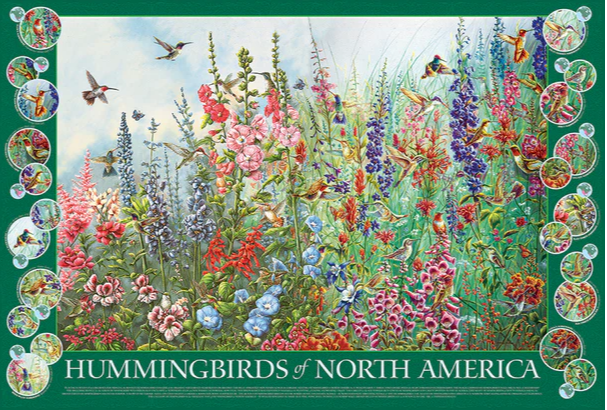 Hummingbirds of North America - 2000 Piece Cobble Hill Puzzle
