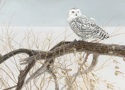 Fallen Willow Snowy Owl - 500 Piece Cobble Hill Puzzle - Robert Bateman