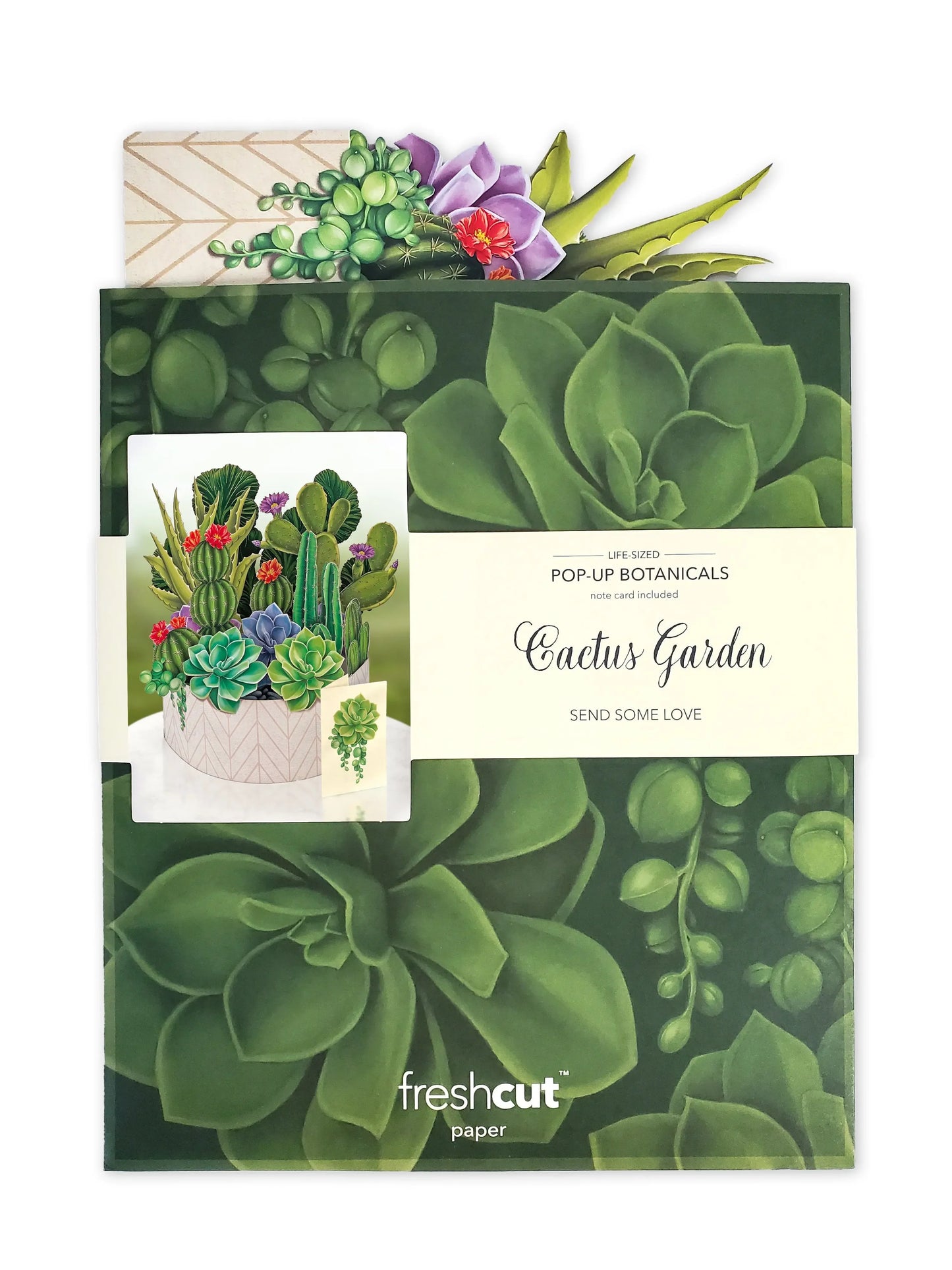 Popup Botanicals Card - Cactus Garden - Fresh Cut