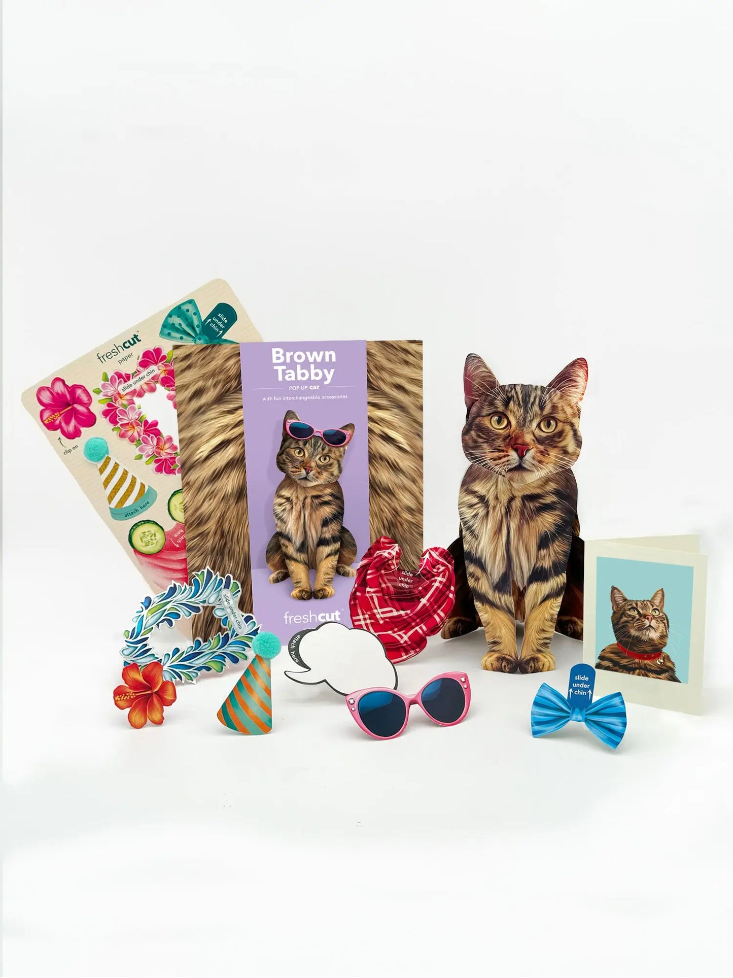 Pop up Cat Card - Brown Tabby - Fresh Cut
