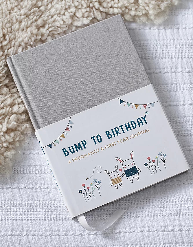 Bump to Birthday - A Pregnancy & First Year Journal