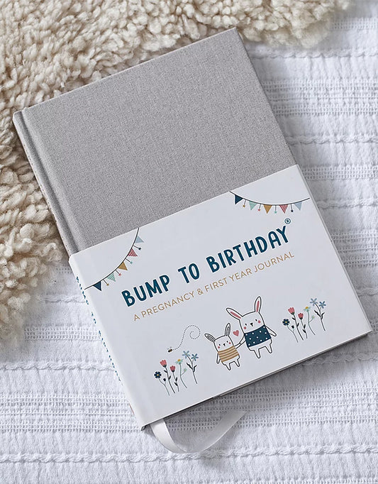 Bump to Birthday - A Pregnancy & First Year Journal