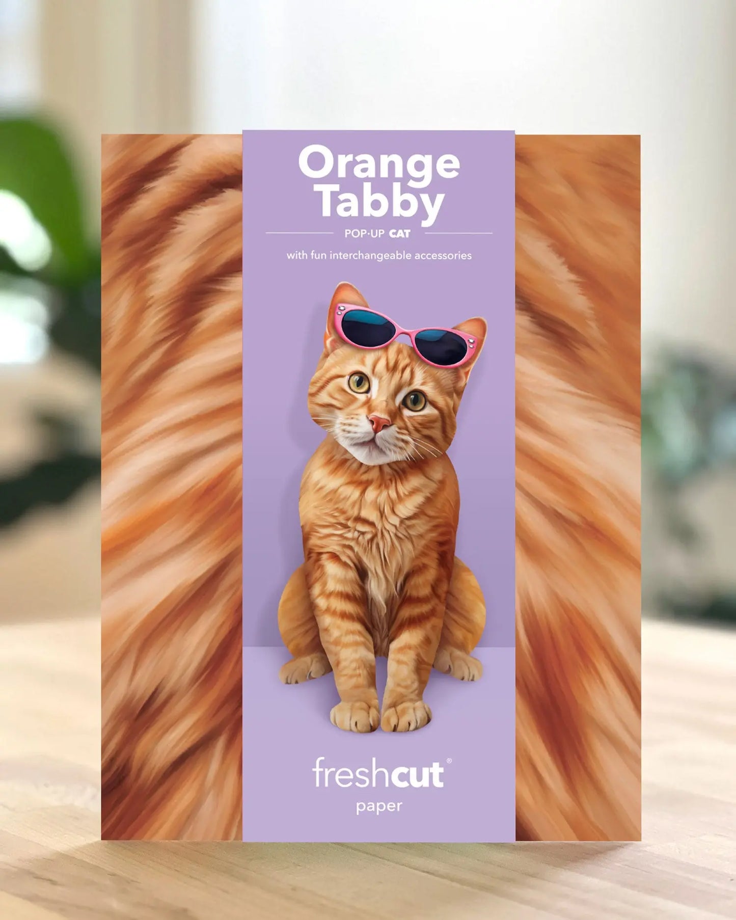 Pop up Cat Card - Orange Tabby - Fresh Cut