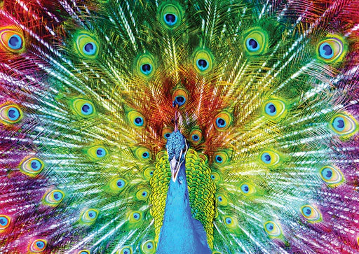 Colourful Peacock - 1000 Piece - Enjoy Puzzle