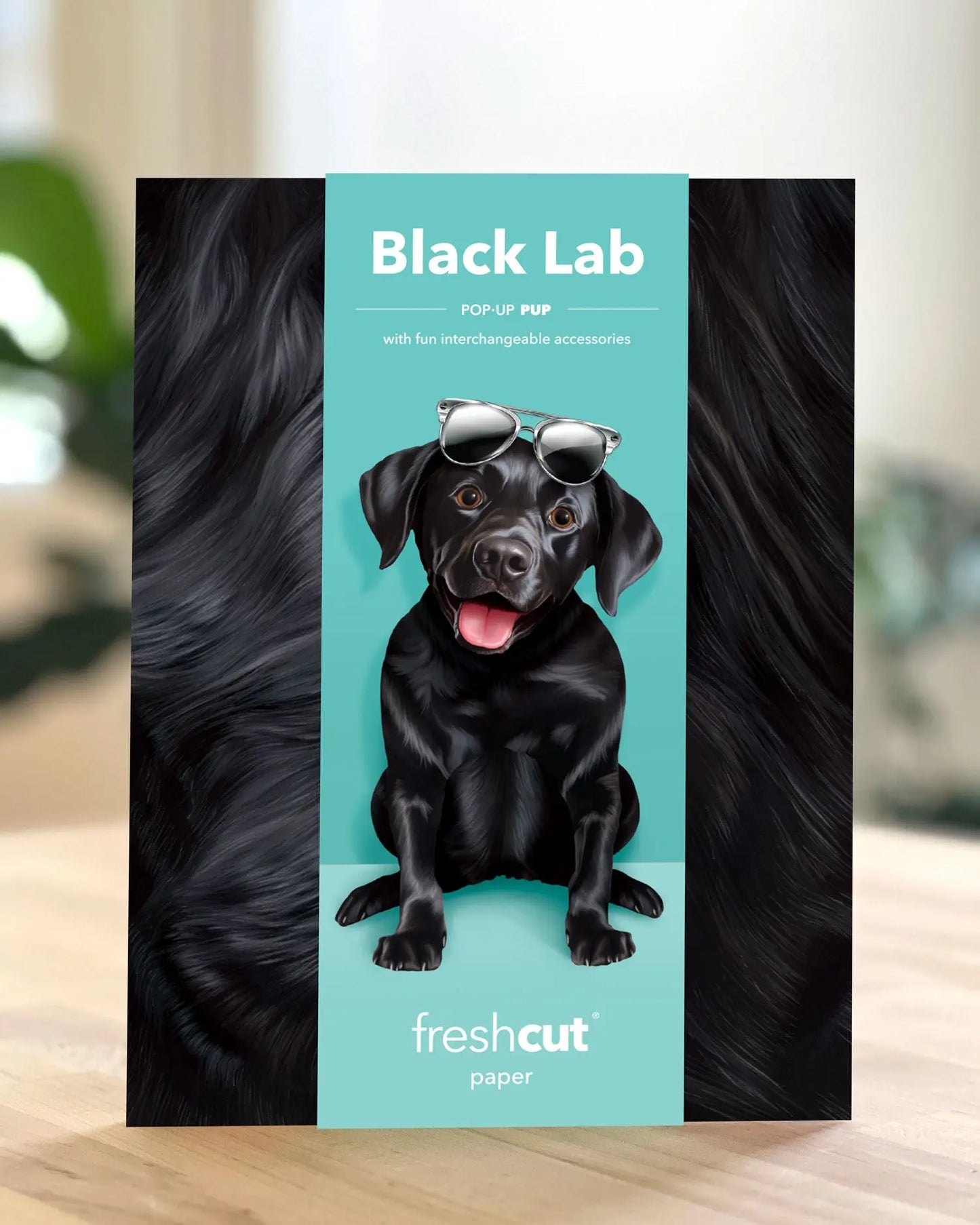Pop up Pup Card - Black Lab - Fresh Cut