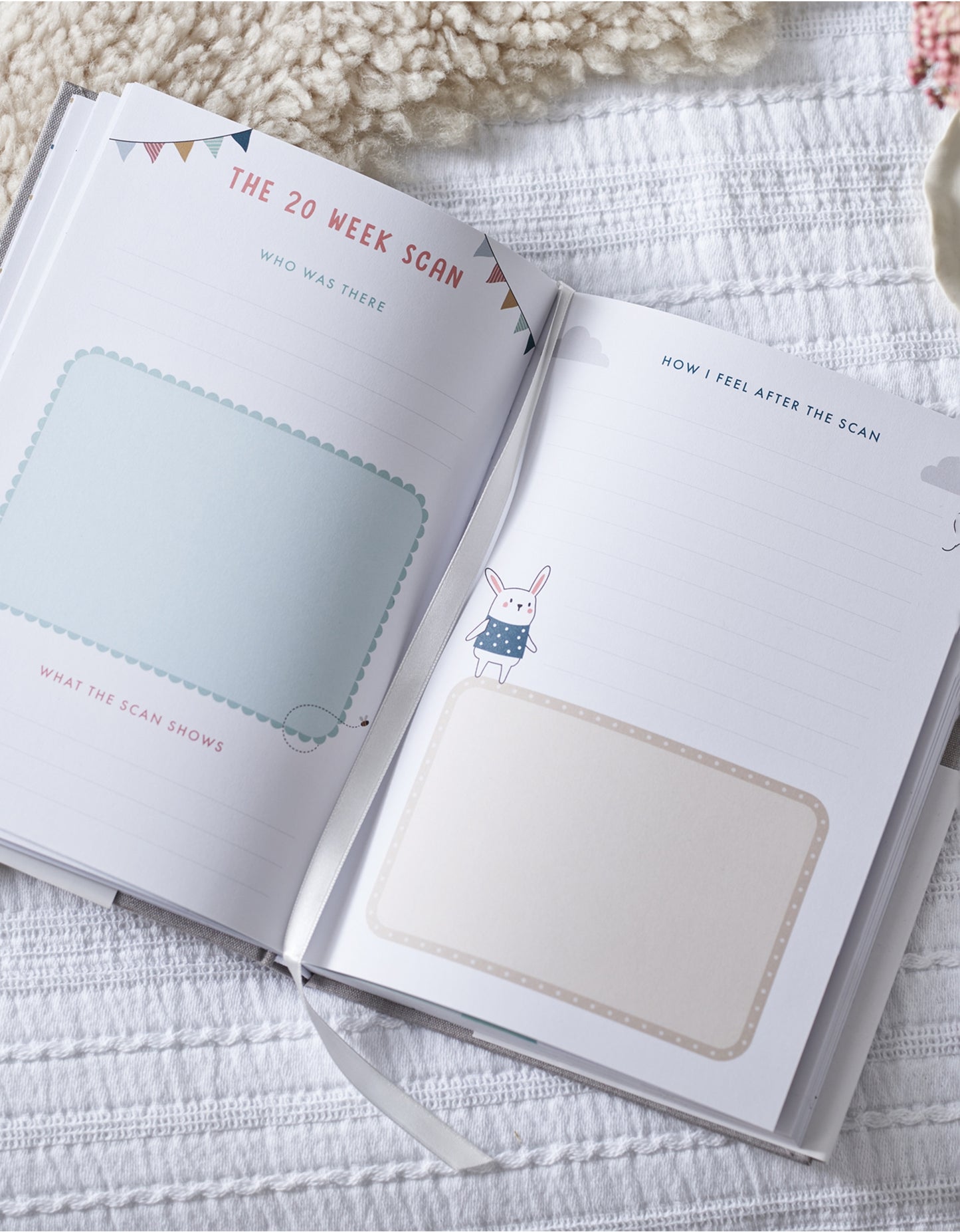 Bump to Birthday - A Pregnancy & First Year Journal