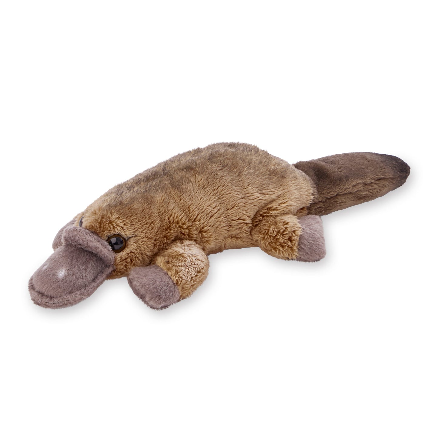 Poppy - Wildlife Platypus - Giffa